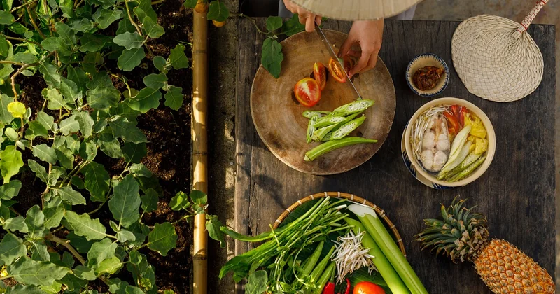 L'équilibre des saveurs : la clé pour comprendre la cuisine vietnamienne