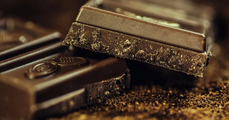 Le cacao en poudre, votre meilleur allié pour des desserts rapides