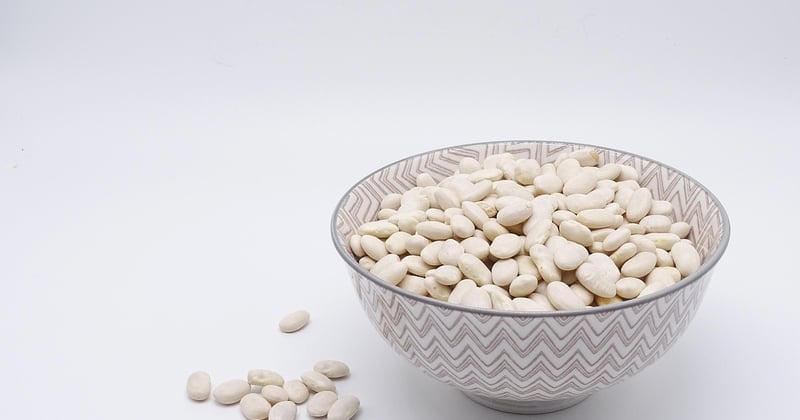 10 recettes végétariennes riches en protéines pour un repas complet