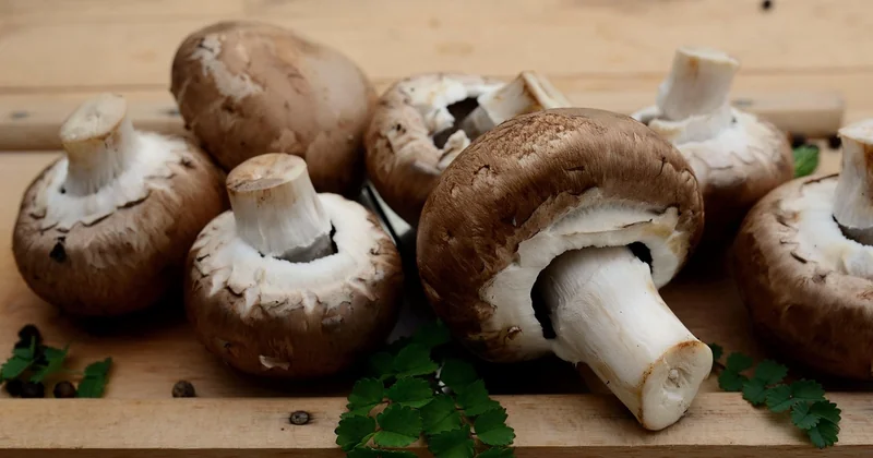 Le menu 35 minutes qui remplace un dîner