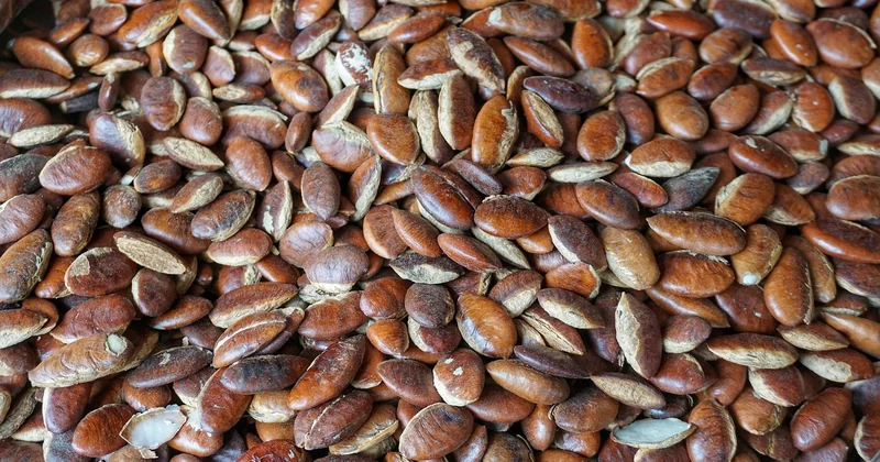 Le batch cooking de saison : ma routine anti-gaspi